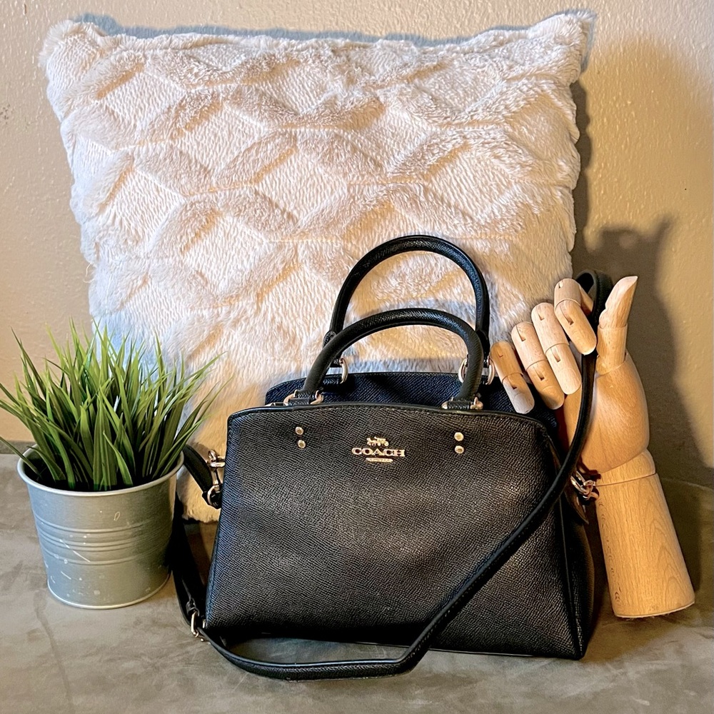 Mini Lillie Carryall Coach Handbag
